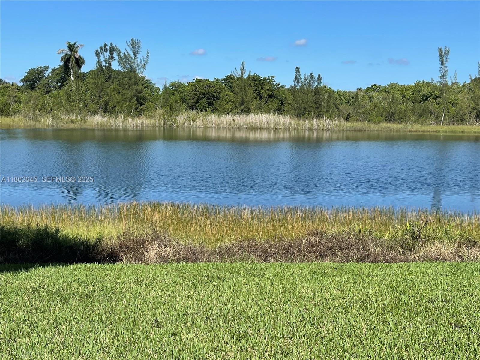 1417 SE 22nd Lane, Homestead, FL 33035 photo 3