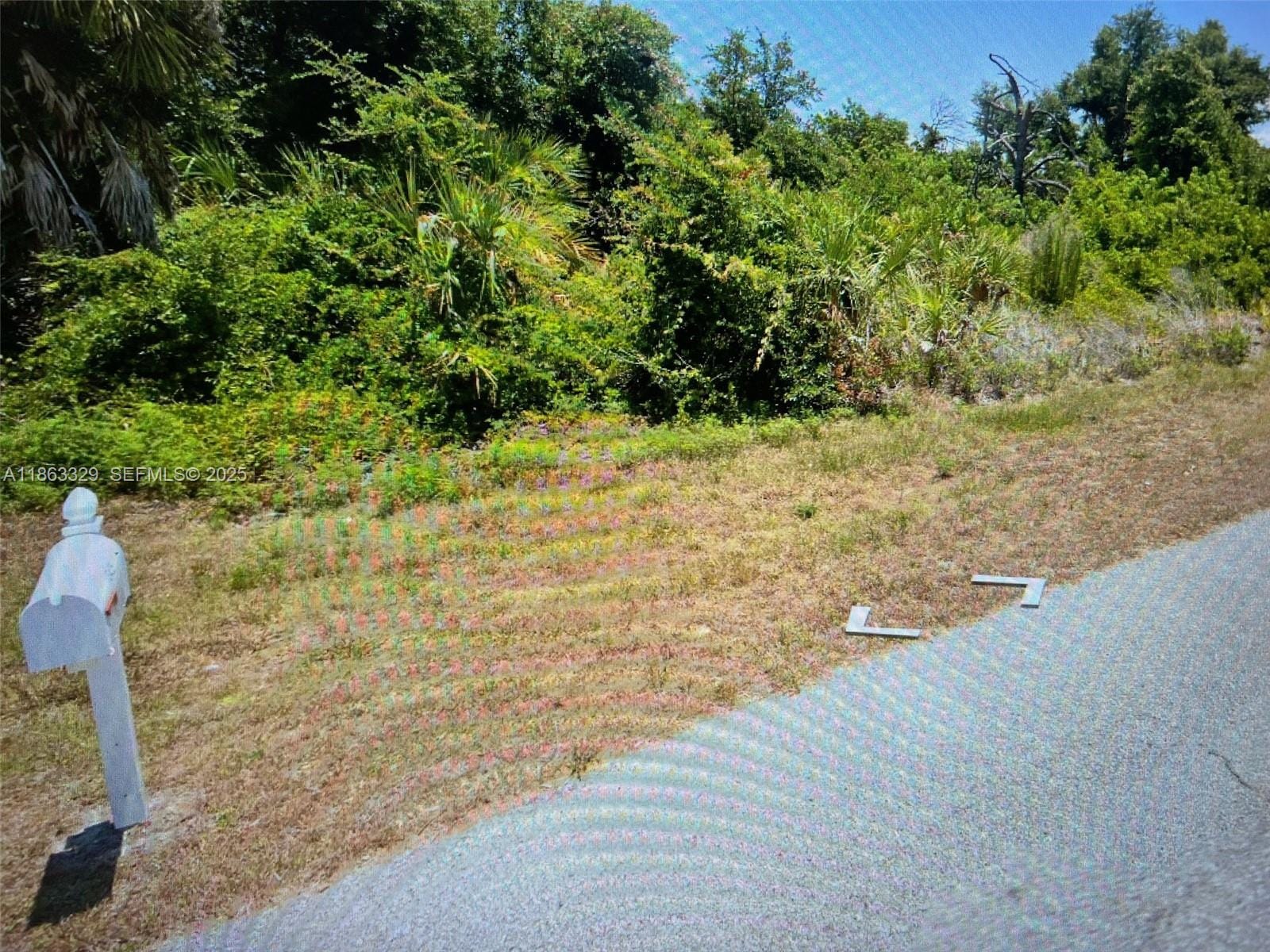 13436 Rayburn — photo 3