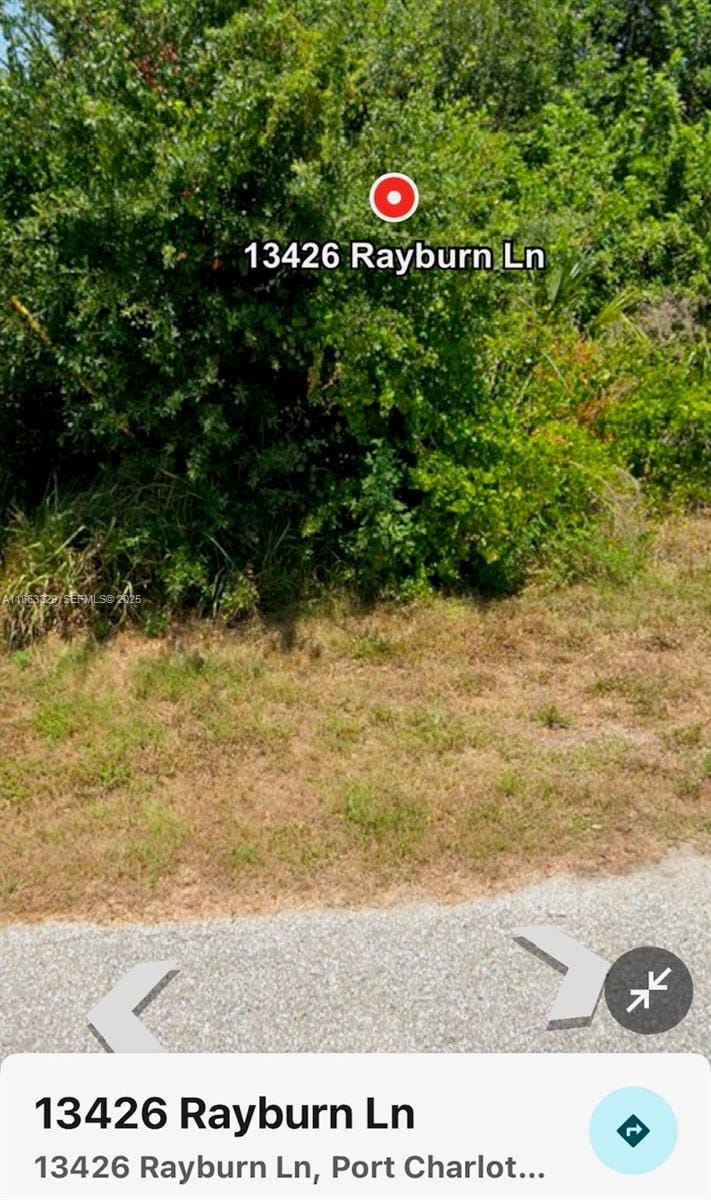13436 Rayburn — photo 5