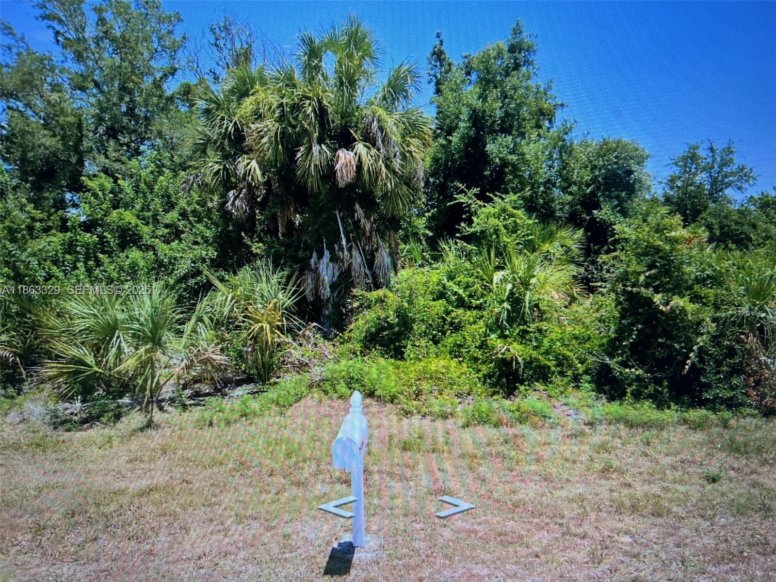 13436 Rayburn, Port Charlotte, FL 33981, Port Charlotte