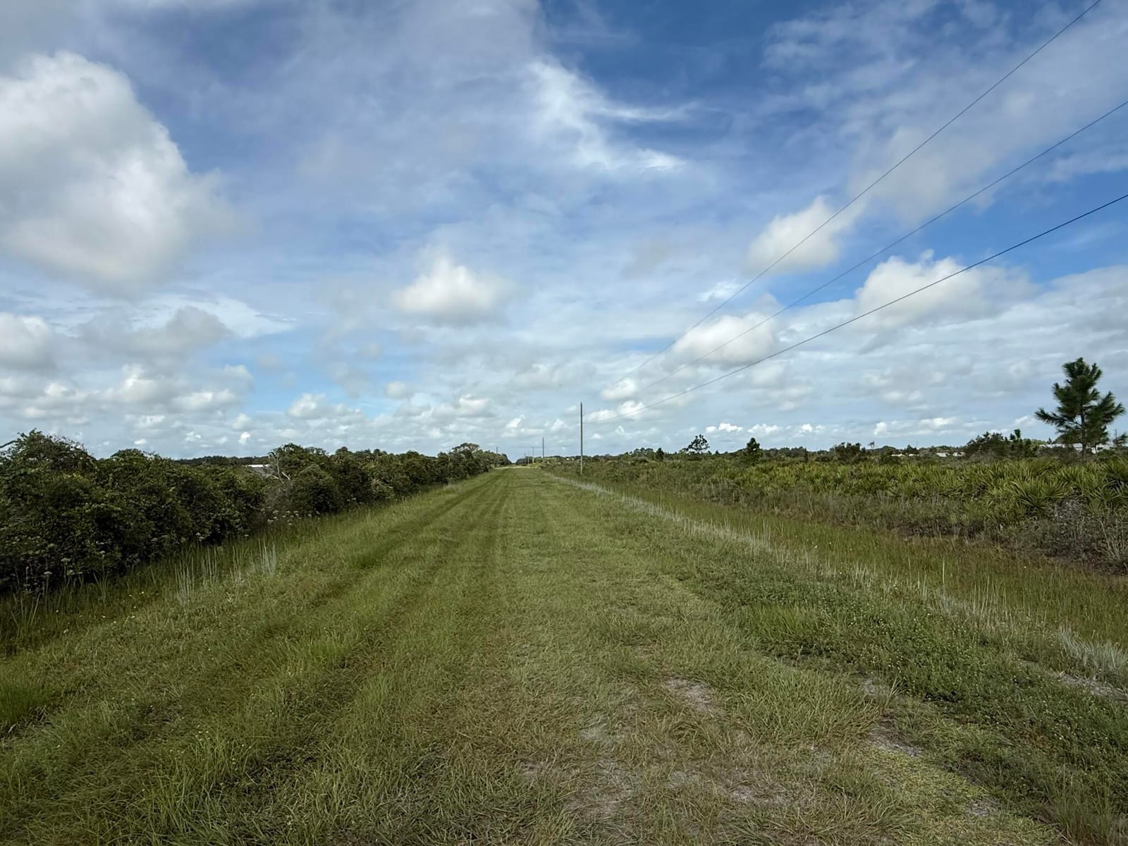 18619 NW 248th Street, Okeechobee, FL 34972 photo 3