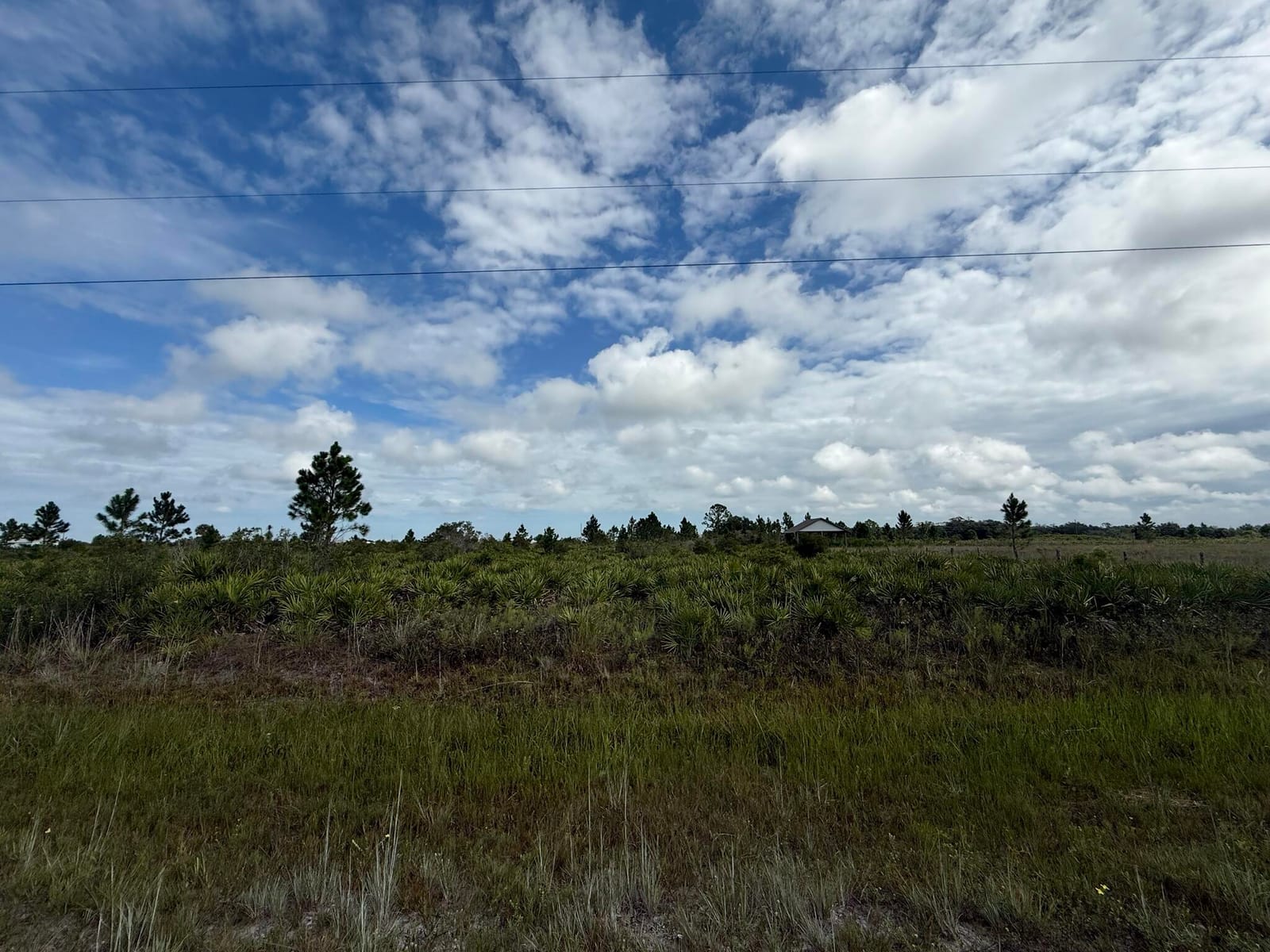 18619 NW 248th Street, Okeechobee, FL 34972 photo 5