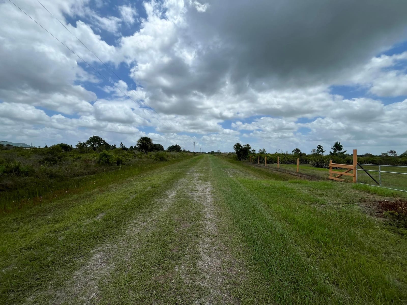 19092 NW 250th Street, Okeechobee, FL 34972 photo 3