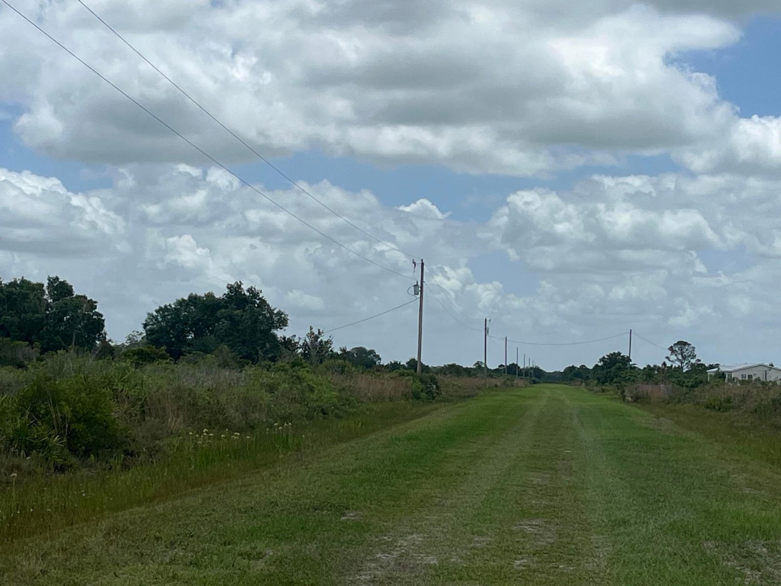 19092 NW 250th Street, Okeechobee, FL 34972 photo 4