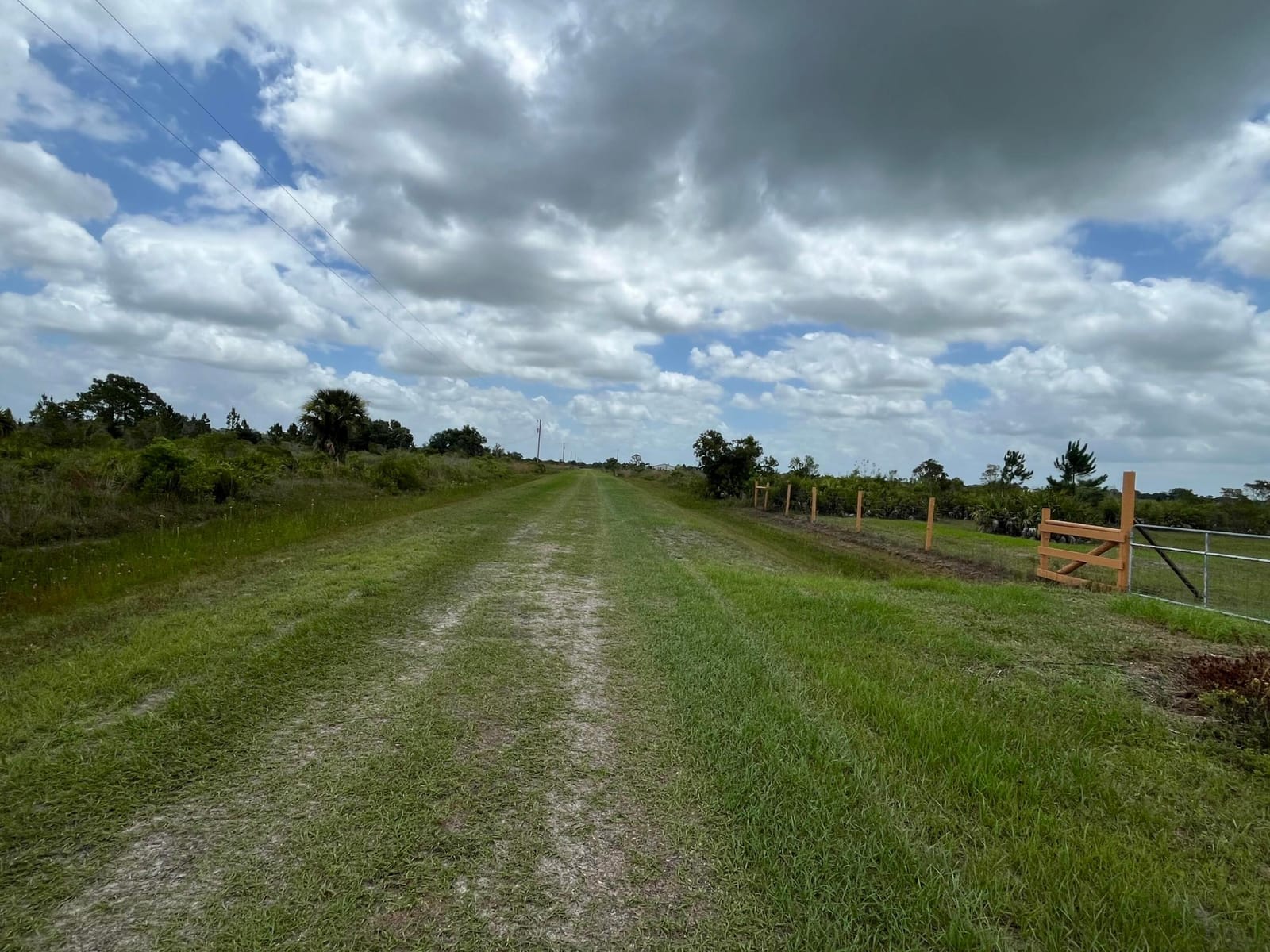 19092 NW 250th Street, Okeechobee, FL 34972 photo 5