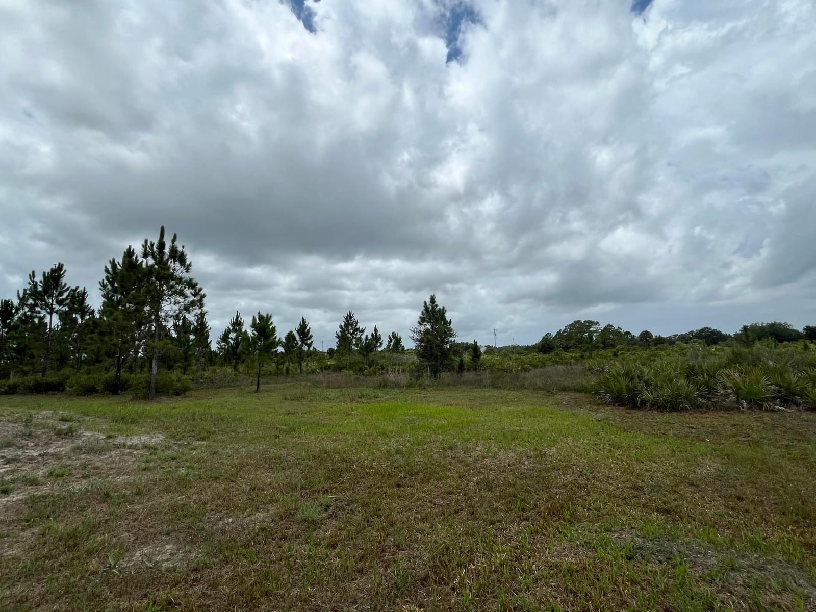 19092 NW 250th Street, Okeechobee, FL 34972 photo 8