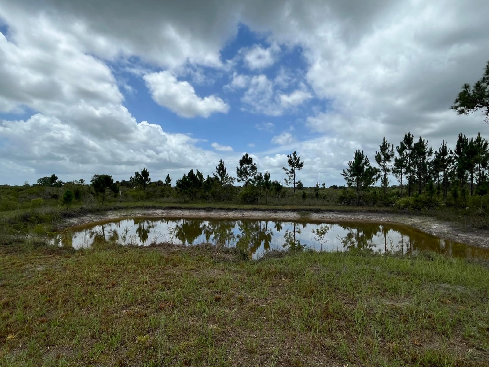 19092 NW 250th Street, Okeechobee, FL 34972 photo 9