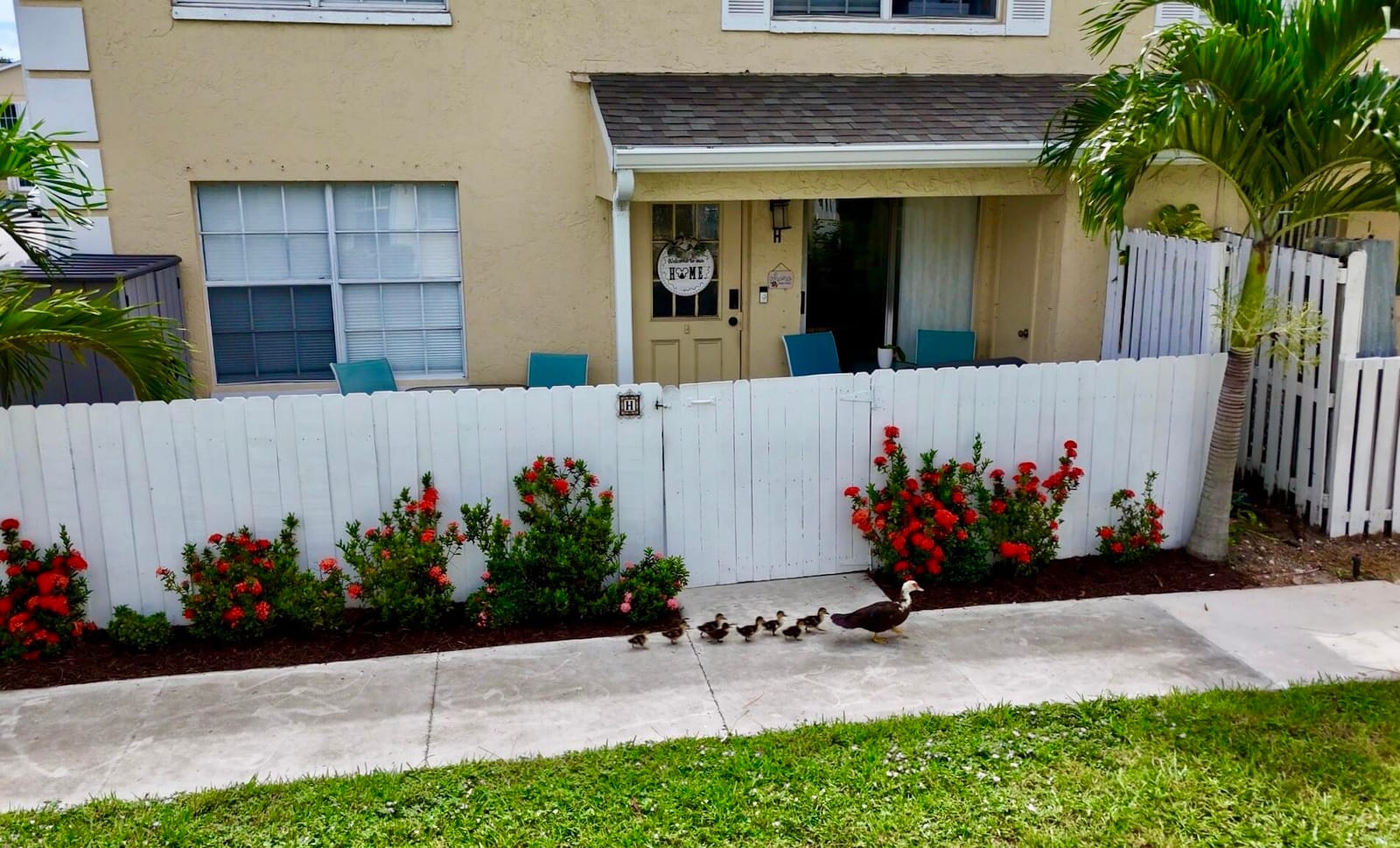 212 Foxtail Drive H, Greenacres, FL 33415 photo 9