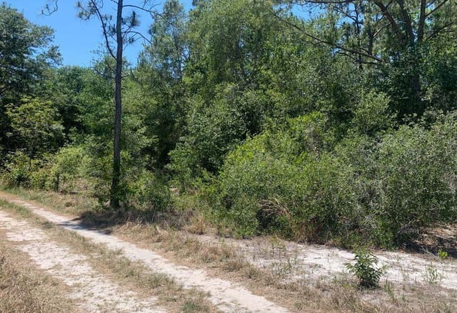 2649 N Todd Road, Avon Park, FL 33825