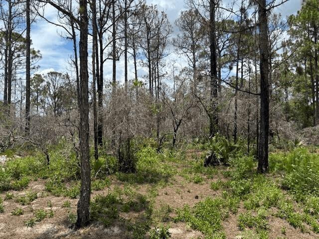 0 Claverton Drive, Lake Placid, FL 33852, Lake Placid