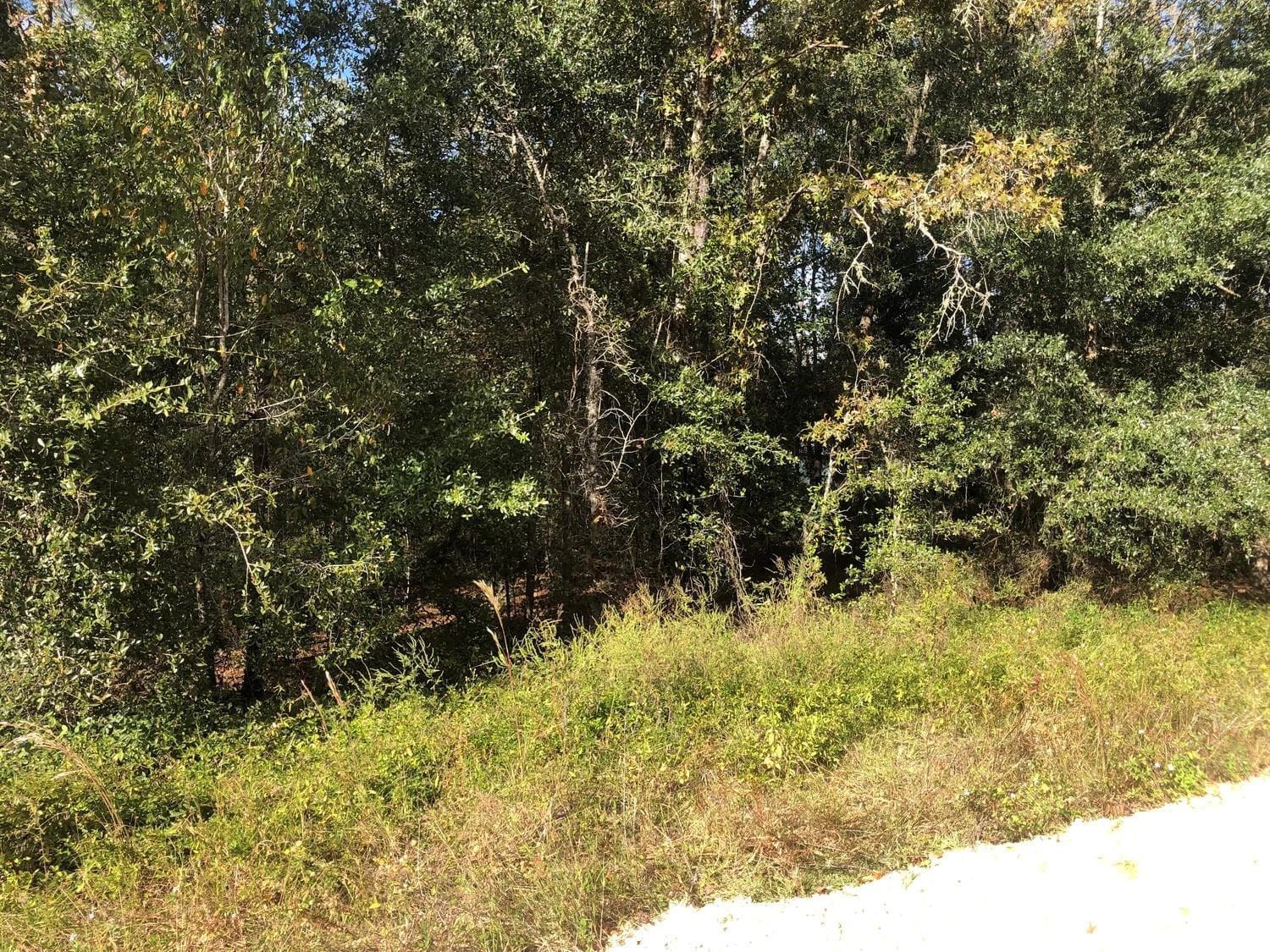 0 Evans Avenue, Interlachen, FL 32148