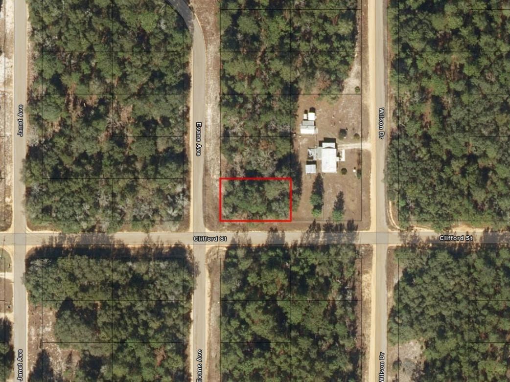0 Evans Avenue, Interlachen, FL 32148 photo 2