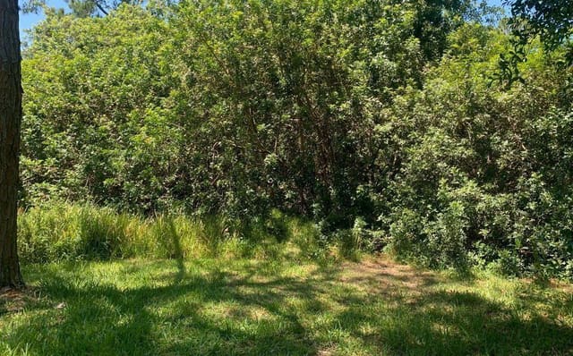 1956 W Tanager Road, Avon Park, FL 33825