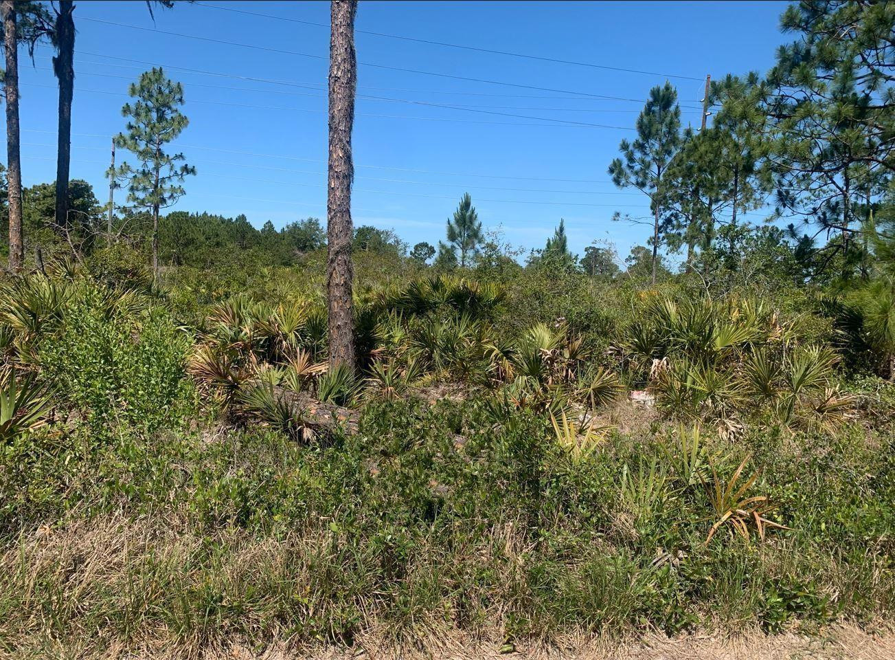 329 Phesant Boulevard, Sebring, FL 33872, Sebring