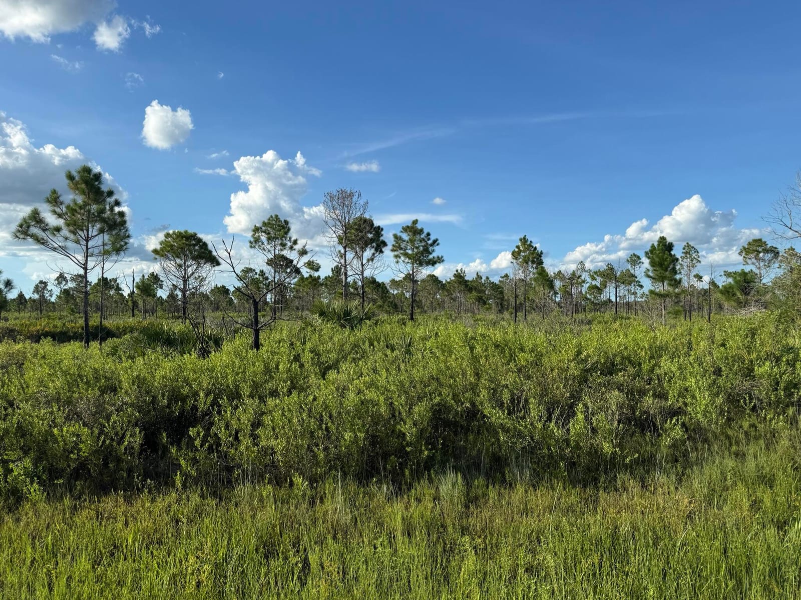15827 NW 272nd Street, Okeechobee, FL 34972