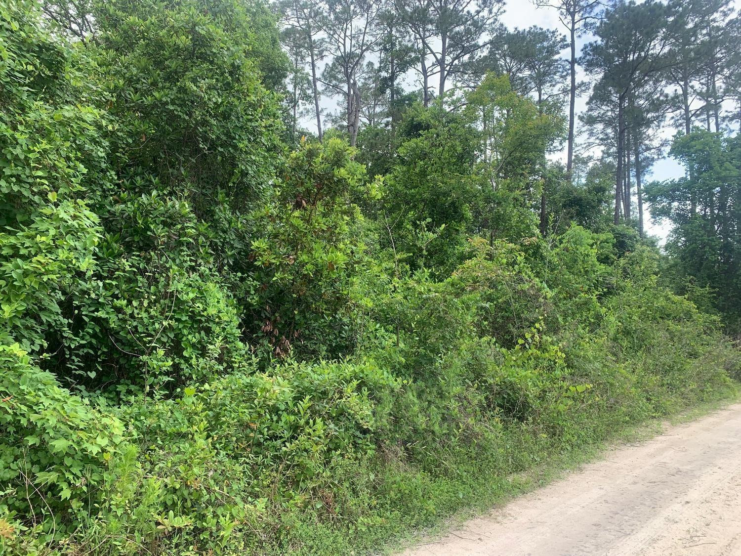 0 Coot Drive, Satsuma, FL 32189, Satsuma
