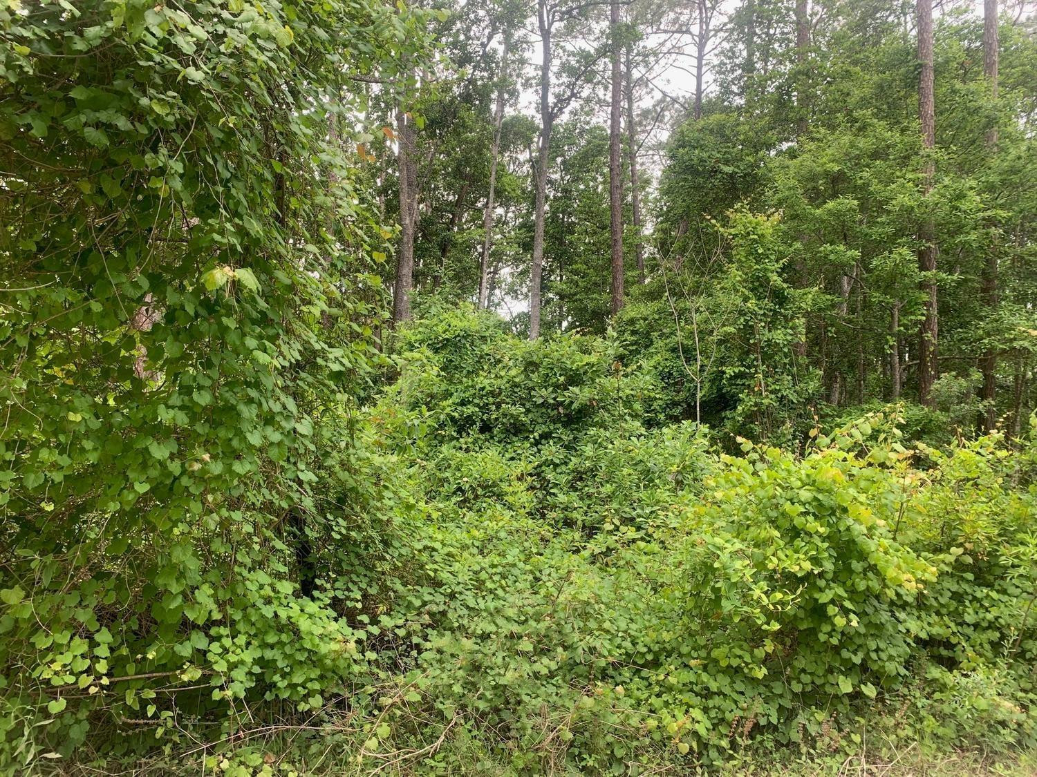 123 Coot Road, Satsuma, FL 32189, Satsuma