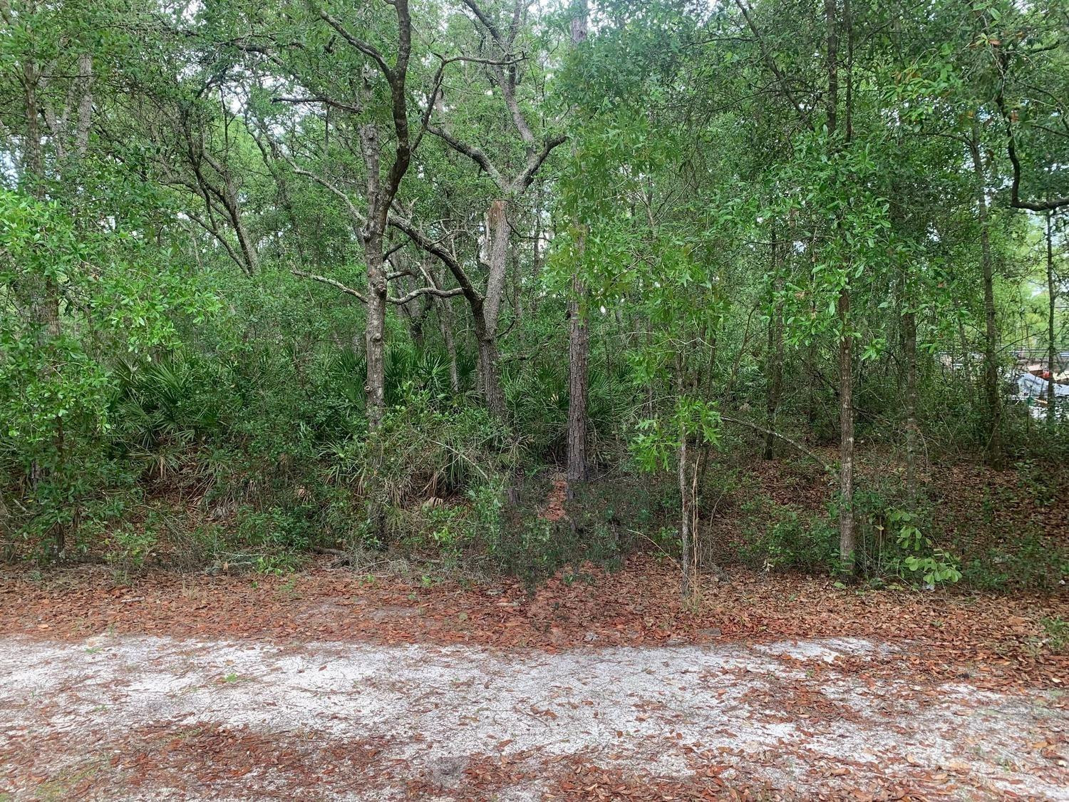 209 Highline Trail, Satsuma, FL 32189, Satsuma
