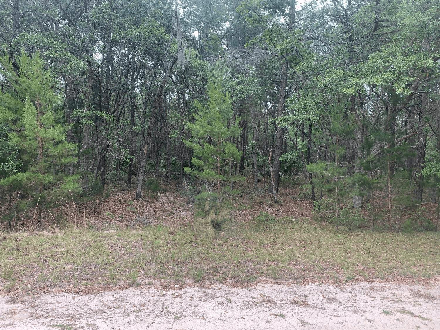 0 Huron, Interlachen, FL 32148, Interlachen