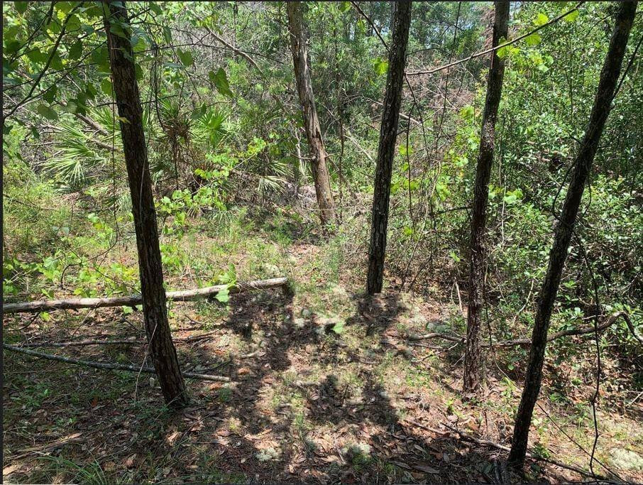 213 Kansas Street, Satsuma, FL 32189, Satsuma