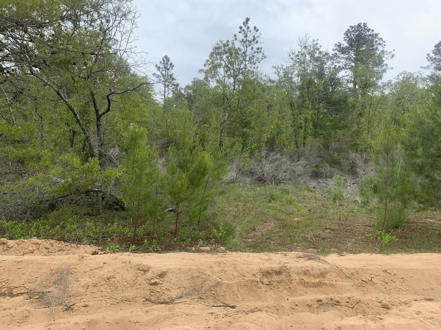 0 May Lane, Interlachen, FL 32148, Interlachen