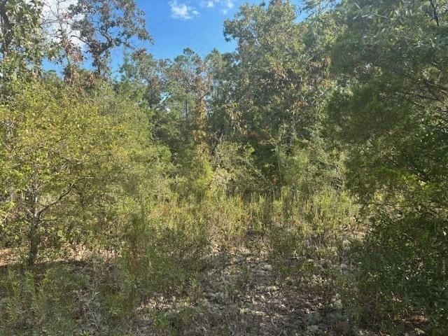 0 Nezperce Drive — photo 2