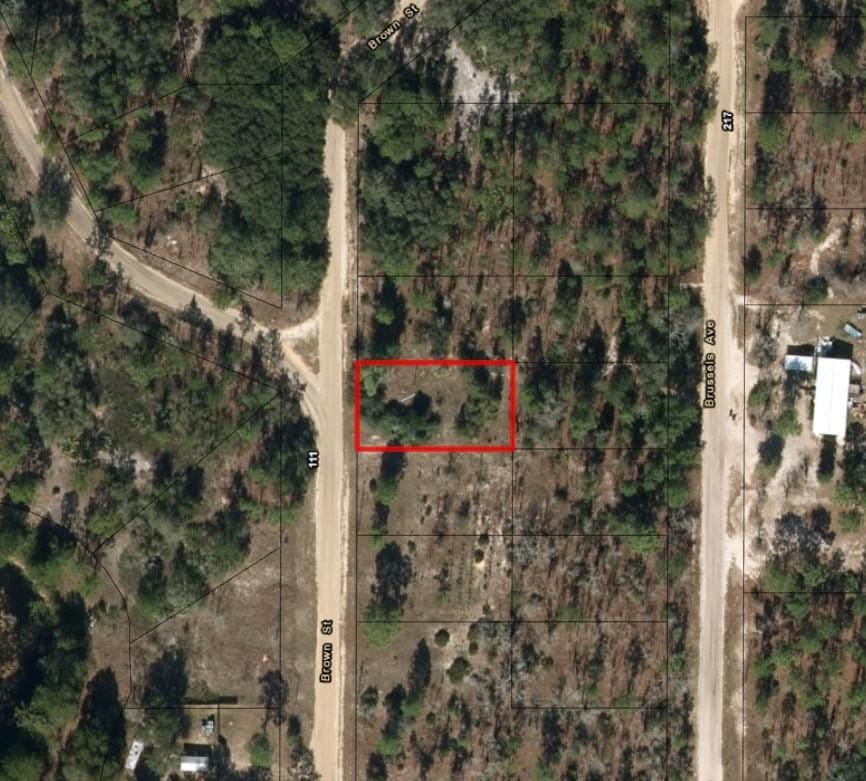 110 Brown Street, Interlachen, FL 32148 photo 2