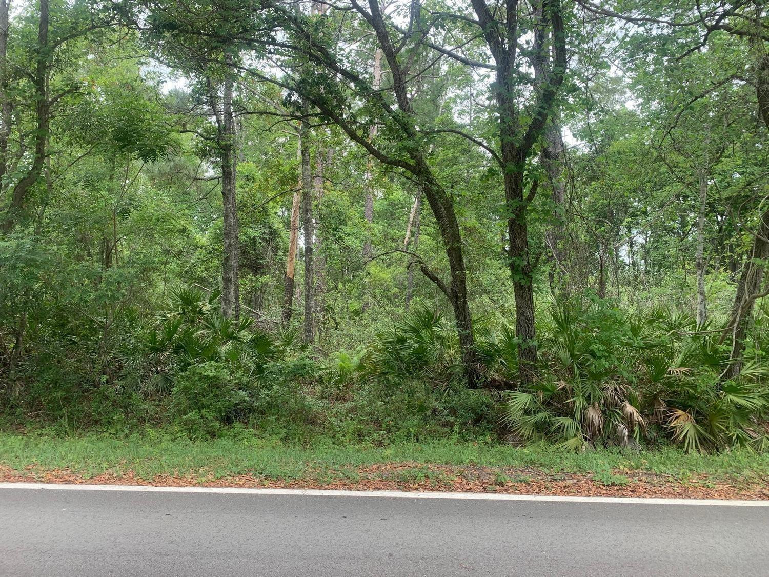 0 Theresa Avenue, Interlachen, FL 32148, Interlachen
