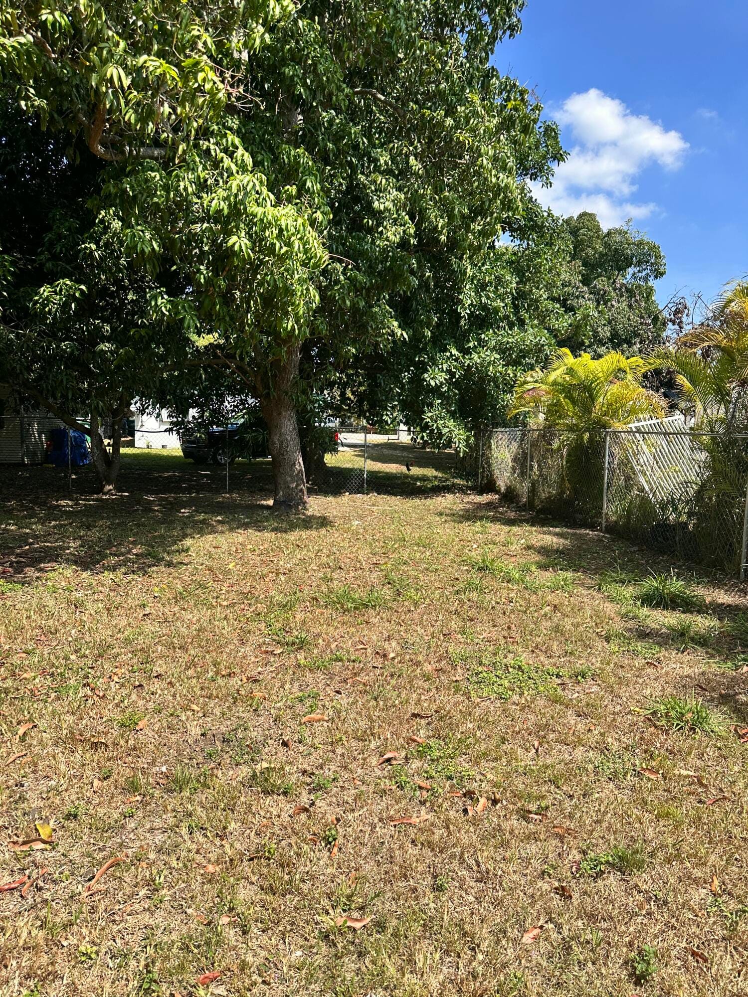 10235 SW 177th Street, Miami, FL 33157 photo 21