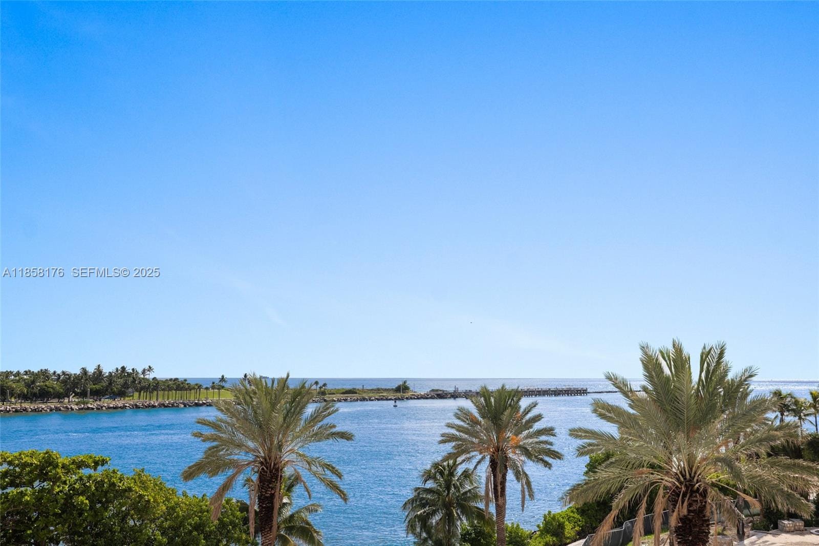 7133 Fisher Island Drive 7133, Miami Beach, FL 33109 photo 27