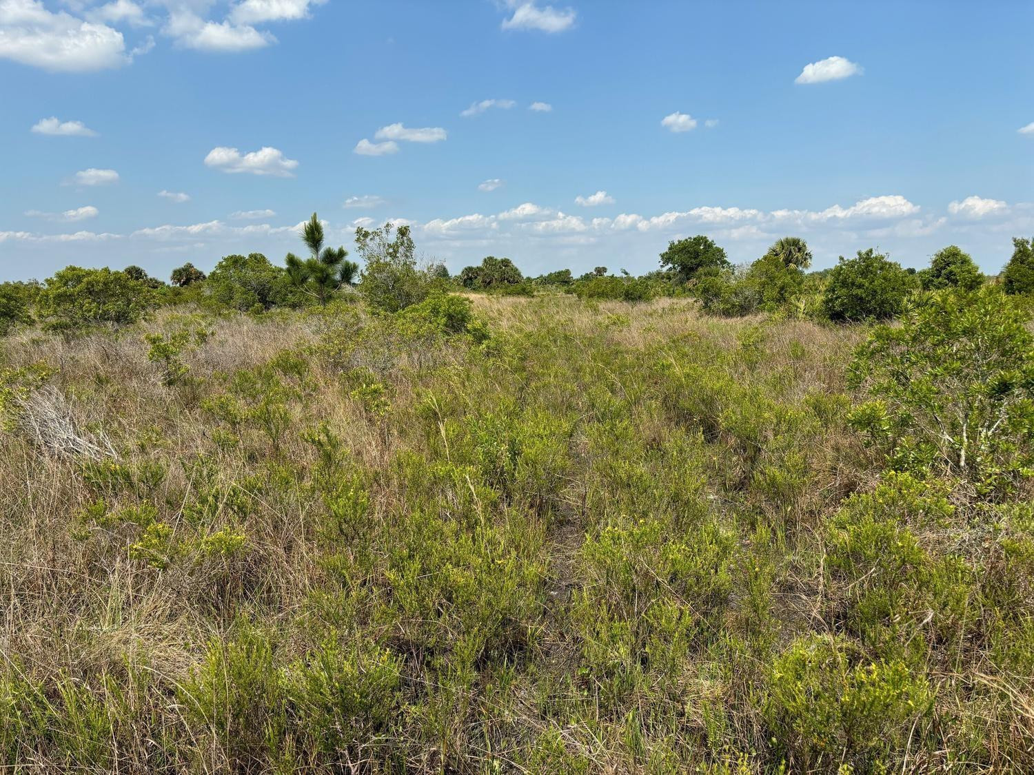 0 NW 320th Street, Okeechobee, FL 34972, Okeechobee