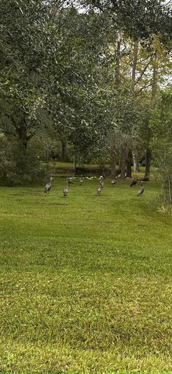 32801 Highway 441, Okeechobee, FL 34972 photo 29
