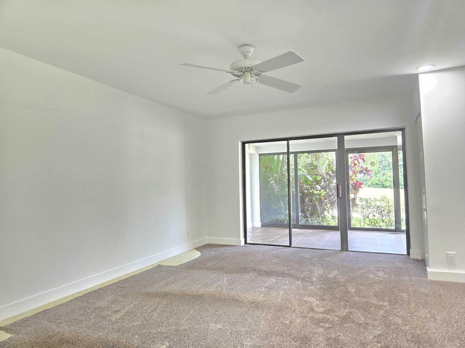 9207 Pecky Cypress Lane 9b — photo 10