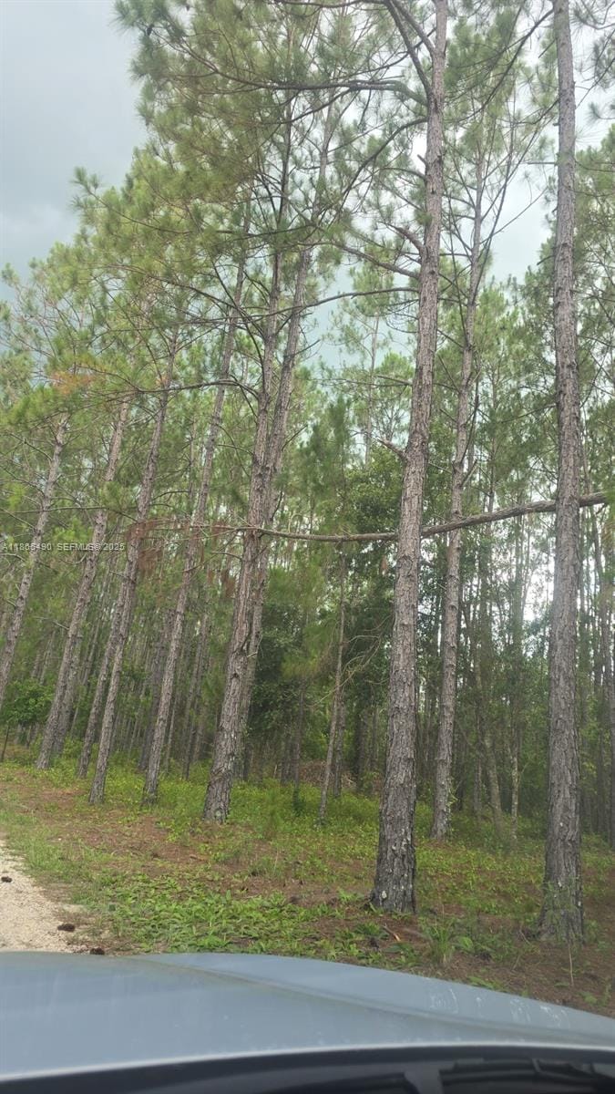 6090 Poyner Road, Lakeland, FL 33868 photo 18