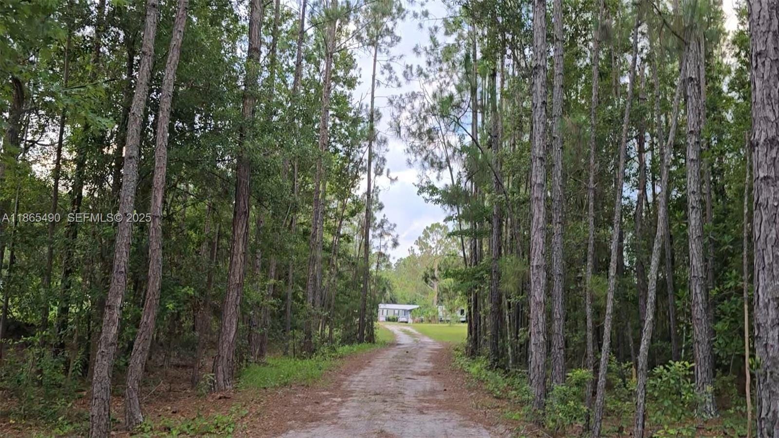 6090 Poyner Road, Lakeland, FL 33868 photo 19