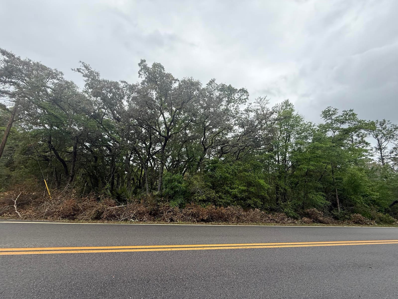 Tbd Theresa Avenue — photo 4