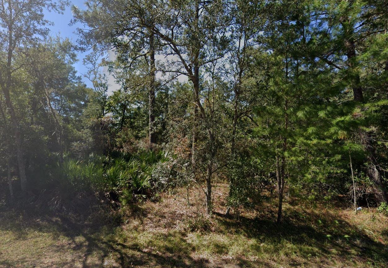 Tbd Theresa Avenue — photo 7