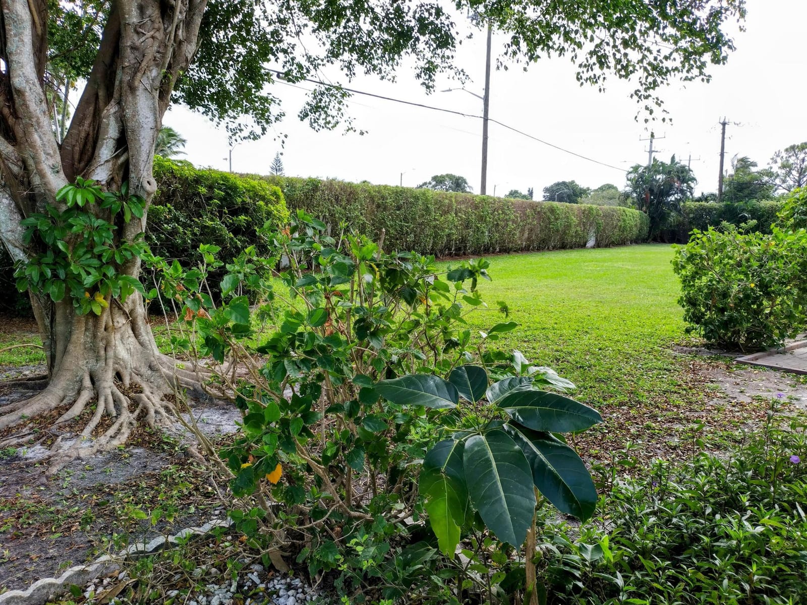 5020 Petal Place A, Delray Beach, FL 33484 photo 17