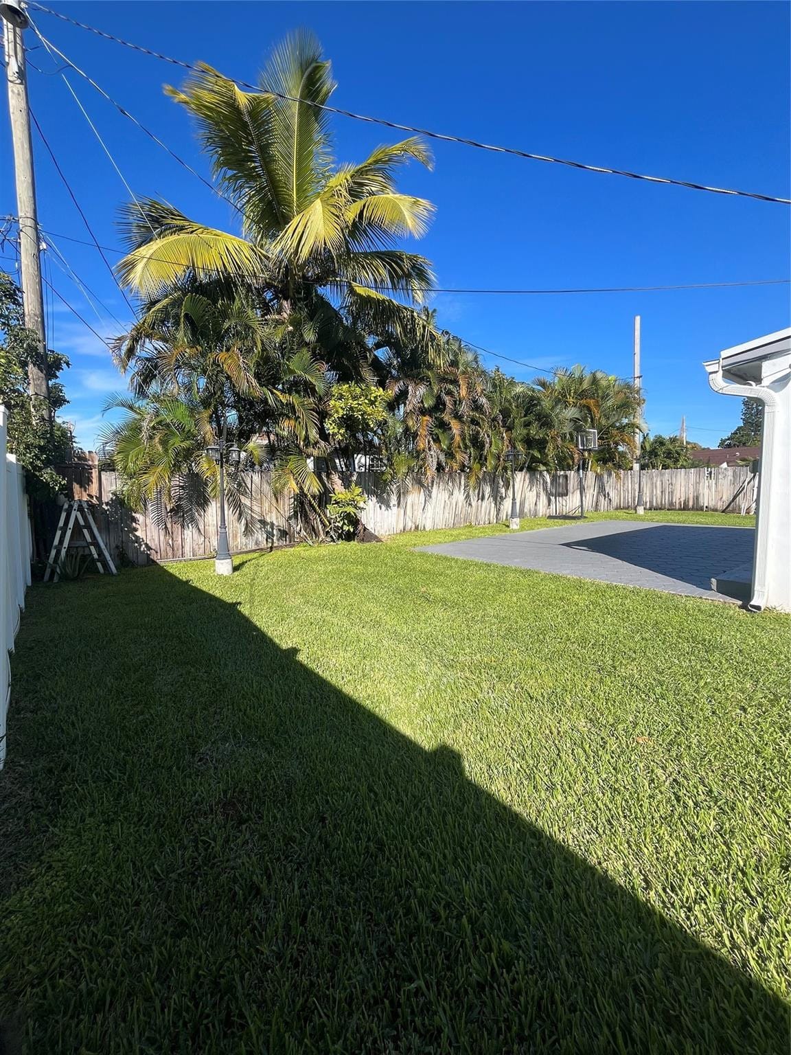2503 Wiley Street, Hollywood, FL 33020 photo 18