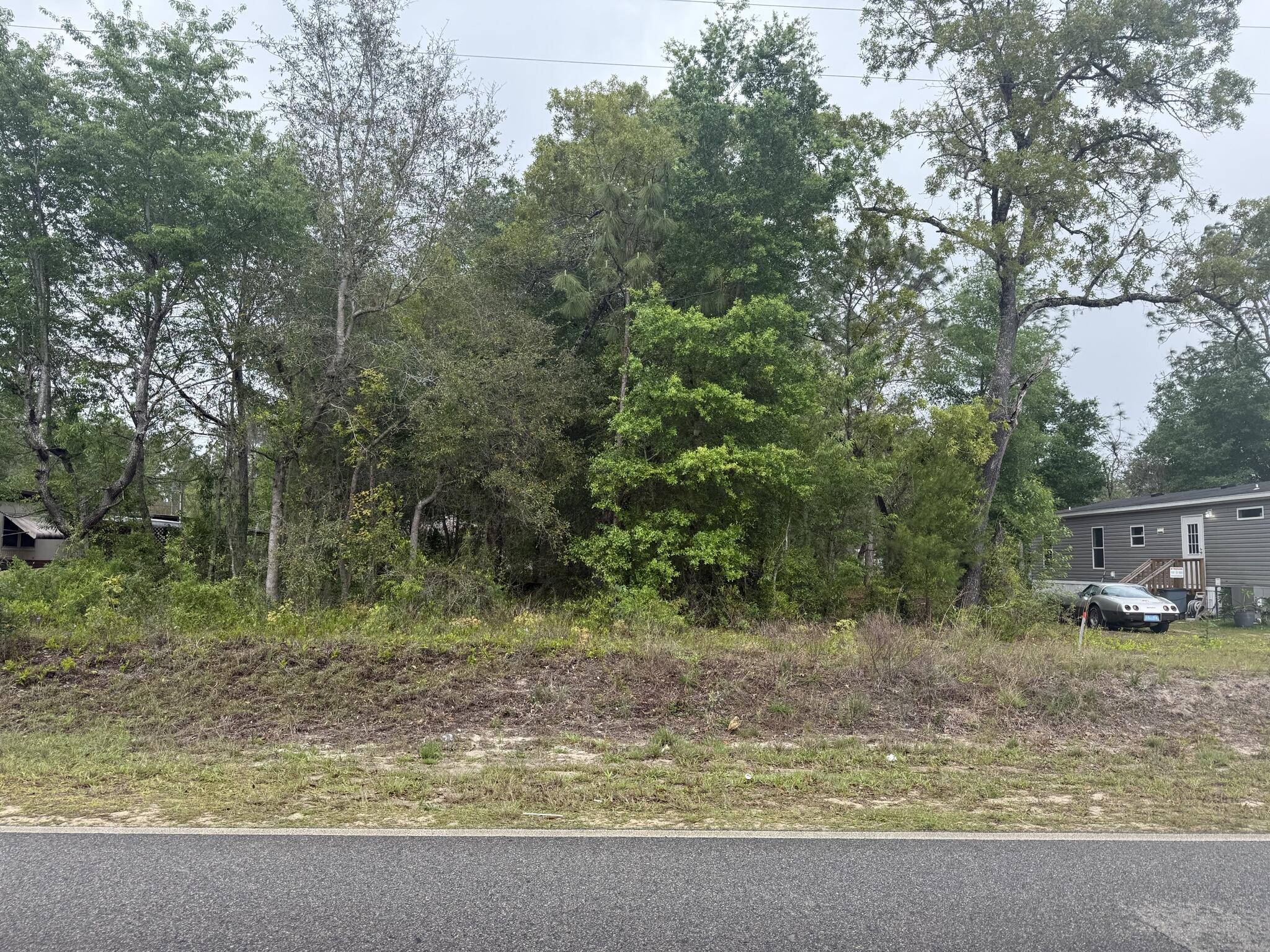 Tbd Dawn Avenue, Interlachen, FL 32148, Interlachen