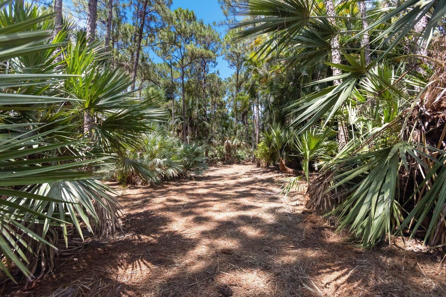 15659 113th Trail N, Jupiter, FL 33478 photo 17