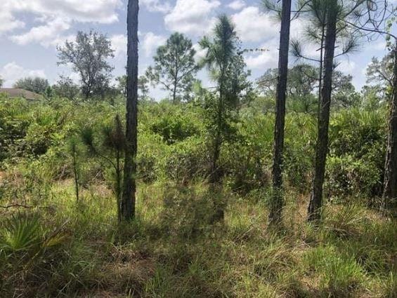 0 Dixon Road, Avon Park, FL 33825