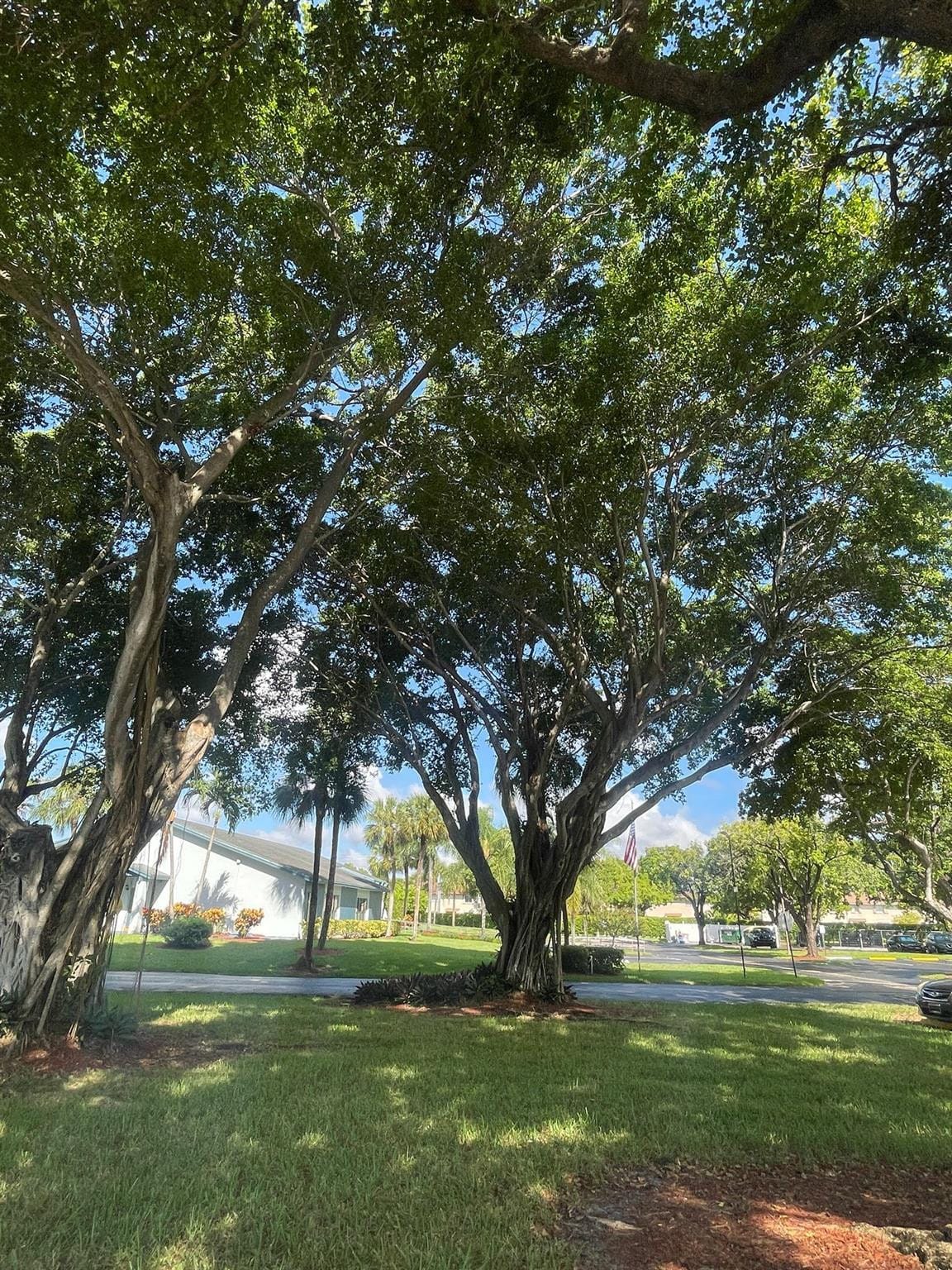 1550 NW 80th Avenue 201, Margate, FL 33063 photo 8