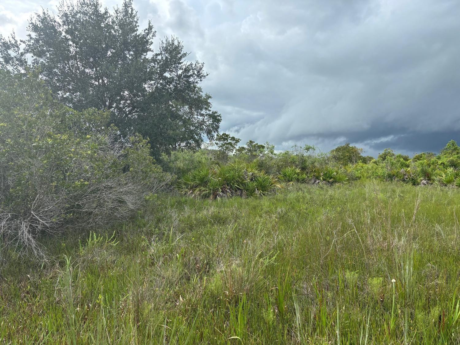0 NW 312th Street, Okeechobee, FL 34972, Okeechobee
