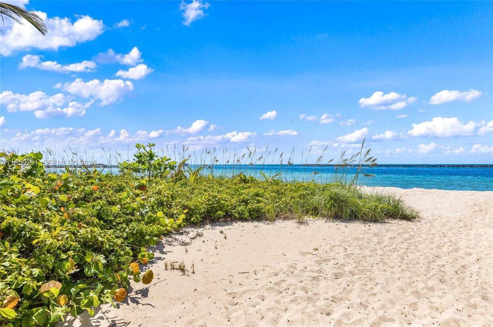 2100 S Ocean Drive 5B, Fort Lauderdale, FL 33316 photo 17