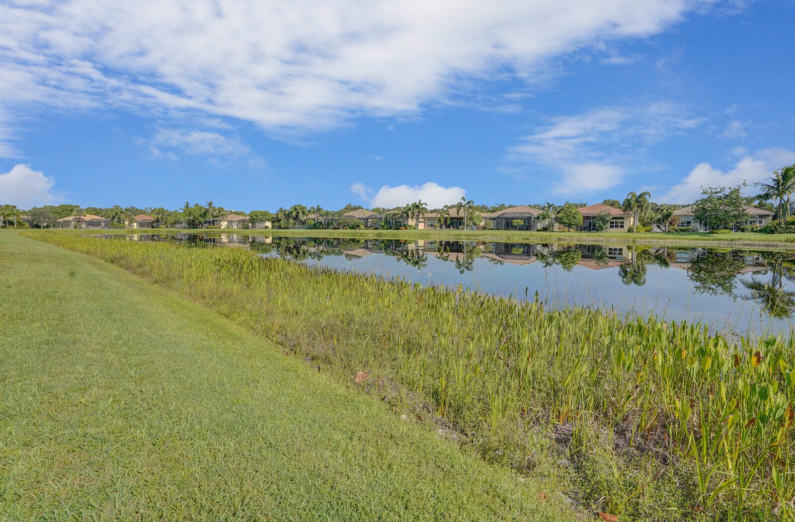 12025 Bear River Road — photo 6