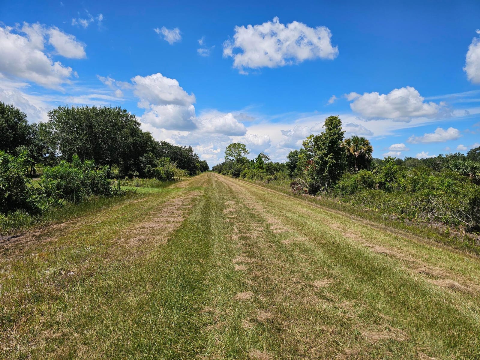 16431 NW 270th Street, Okeechobee, FL 34972 photo 4