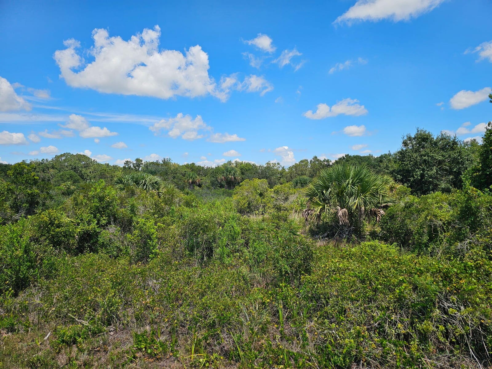 16431 NW 270th Street, Okeechobee, FL 34972 photo 6