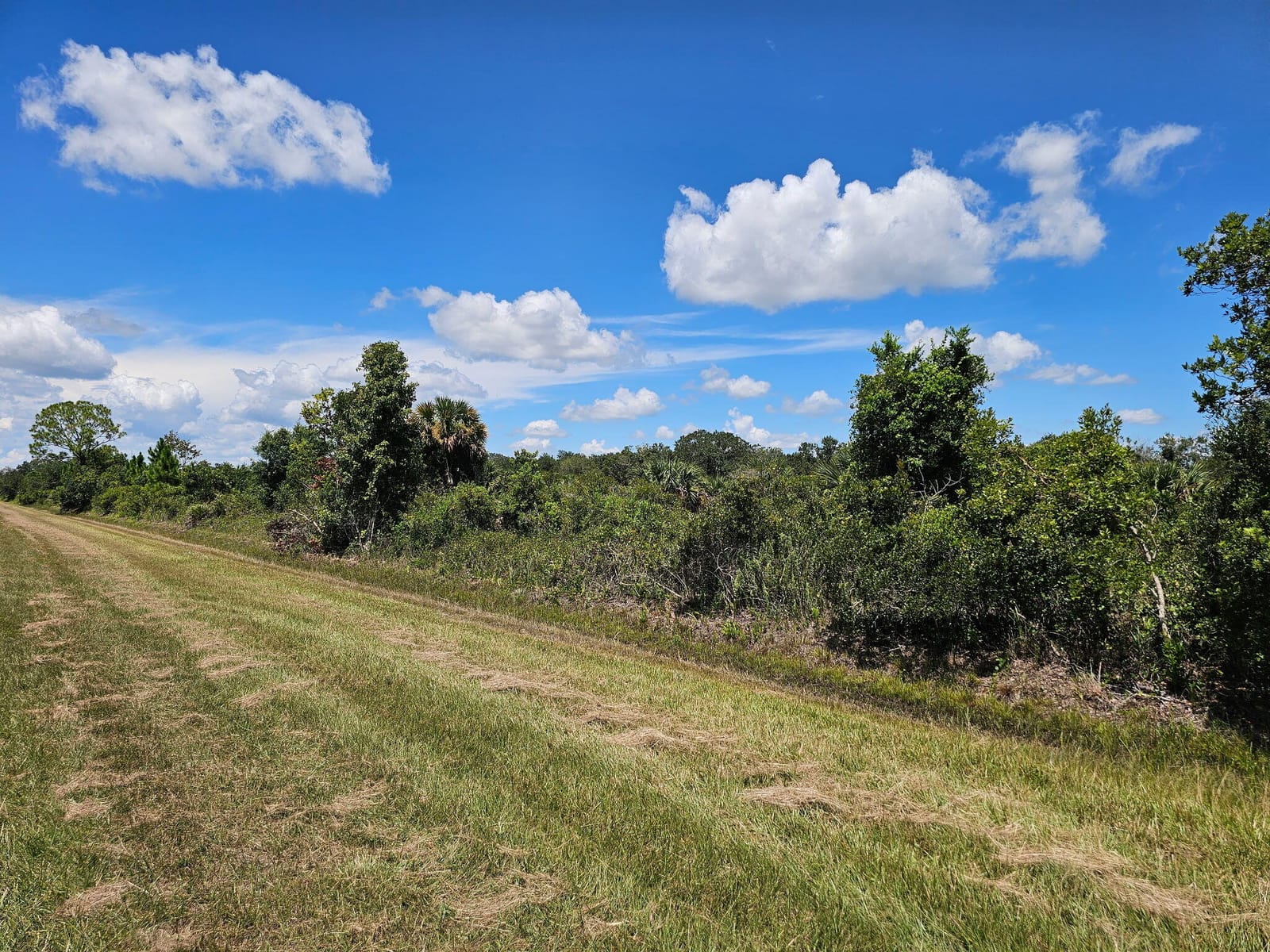 16431 NW 270th Street, Okeechobee, FL 34972 photo 7