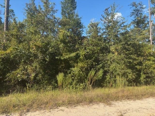 0 Mulberry Drive — photo 2